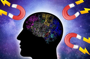 11 Tage Online Manifestations-Workshop mit Affirmationen und Meditation, 10 Live-Sitzungen inklusive