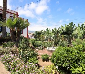 8 Day Beginner-friendly Yoga and Hiking Holiday in Tenerife, Spain with Healthy Food and Beach Walks - Photo 4