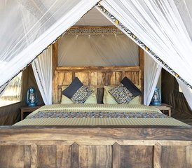 3 días de safari privado de la época de cría de ñus en Serengeti y Ngorongoro, Tanzania - Photo 5