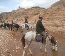 98 jours de randonnée équestre Argan au Maroc - Photo 1