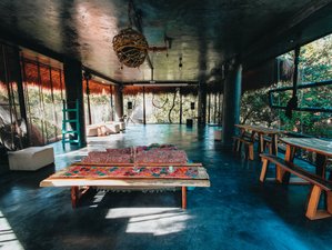 4 Day Private Jungle Wellness Retreat in Akumal, Mexico, Yoga, Breath-work, Ceremonies, and More