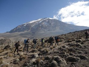 8 Tage Lemosho Route Trekking auf dem Kilimandscharo, Tansania
