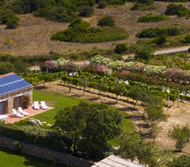 7 Day Yoga Holiday with a Plant-Based Vibrant Cuisine in Sardinia, Italy - Photo 3