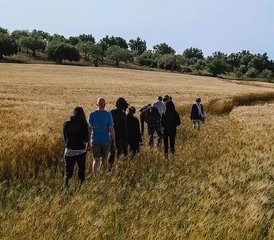 8 días de retiro de bienestar holístico en Noto, Sicilia, Italia - Photo 4
