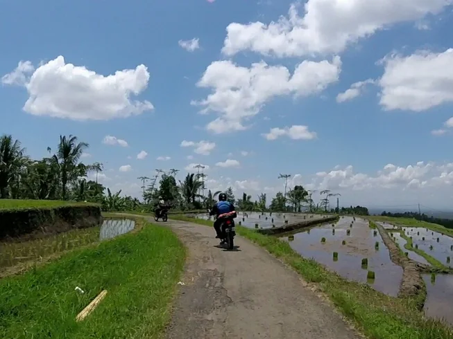 22 Day Bali Flores Guided Motorcycle Tour in Indonesia