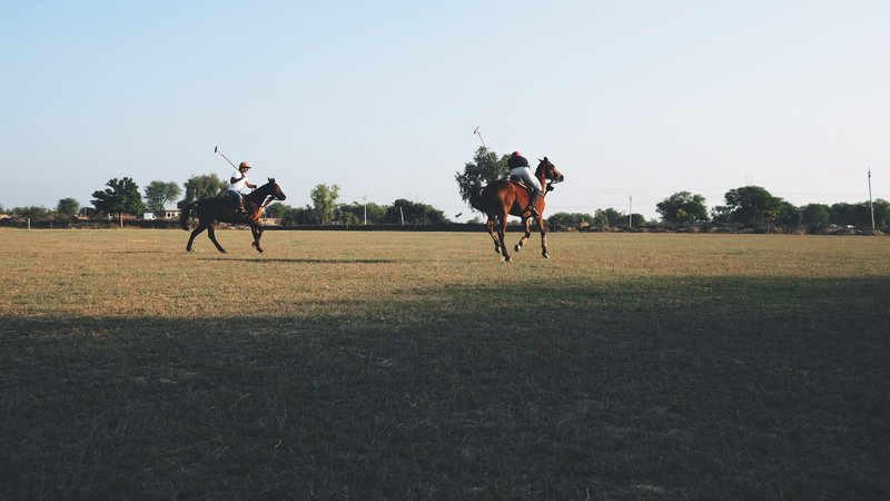 7 Day Horse Riding Safari Holiday in Rajasthan