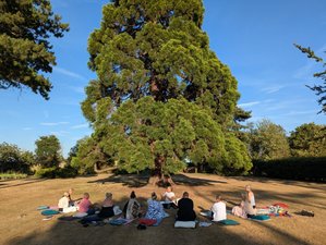 3-tägiger Wellness-Urlaub in der Landschaft von Essex in England, Großbritannien