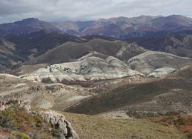 Quesada, San Carlos Retreats und Reisen