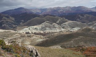 Quesada, San Carlos Retreats & Trips