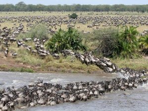 5 Day Camping Safari in Tarangire, Serengeti, and Ngorongoro Crater