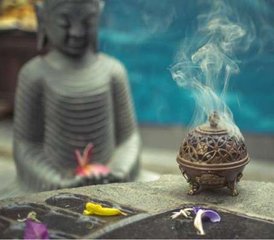 8 Tage Virechana Panchakarma Retreat in Goa, Indien - Photo 2