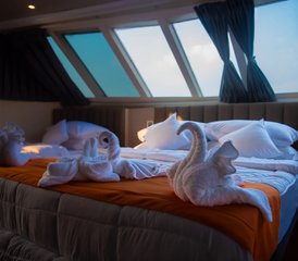 14 Day Surf Ultimate Trip in the Maldives in the Male Atoll and All Central Atolls - Photo 5