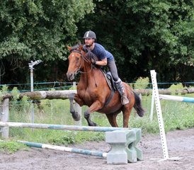 8 Day Adult Beginner Horseback Riding Course in Mimizan, Landes - Photo 4