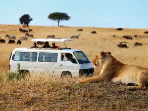 3 Day Best of Great Masai Mara Game Reserve Safari with Hot Air Balloon Ride in Kenya