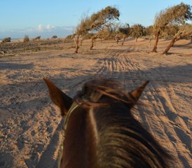 7 jours en stage d’équitation avec yoga quotidien sur la côte atlantique du Maroc - Photo 2
