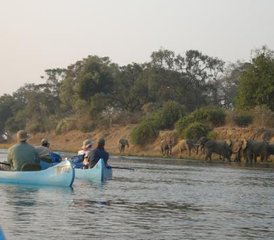 3 días de safari en canoa por Marula en la Provincia de Mashonaland West, Zimbabue - Photo 3
