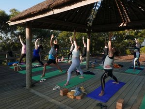 6 Day Wild and Free Yoga Wellness Retreat in Monte Velho, Algarve
