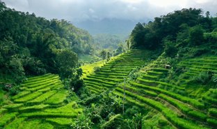 Centre de Bali Retraites et Voyages