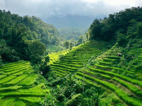Zentral Bali