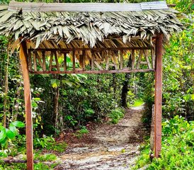77 jours en stage de yoga, méditation et ayahuasca dans la forêt amazonienne du Pérou - Photo 1