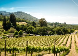 Sonoma Retraites en Reizen