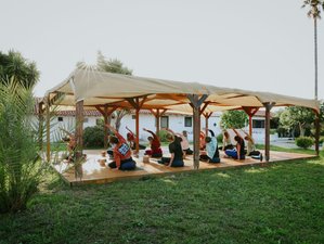 8 Day Sunset Meditation, Floating in Therma, and Yoga Holiday on Kos Island, Greece
