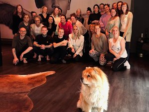 6-Daagse Opleiding Trauma Release Coach® met Yoga in Spanbroek