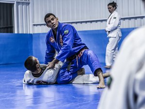 Over 20 years of grappling and nearly 10 years blogging about bjj, I  finally got my MF black belt. : r/bjj