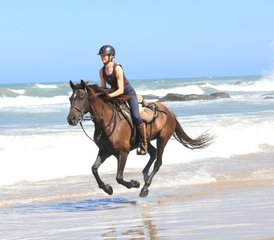 52 jours en stage d’équitation sur la plage du sentier de la rivière Kei sur la Wild Coast, Afrique du Sud - Photo 1