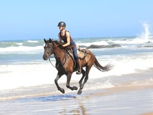 2 jours en stage d’équitation sur la plage du sentier de la rivière Kei sur la Wild Coast, Afrique du Sud