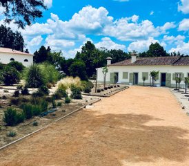 5 jours en retraite de yoga Retour à la nature à Santo Estêvão, Lisbonne, Portugal - Photo 4
