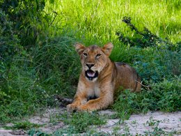 Kampala Retreats & Trips