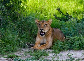 Kampala Retreats & Trips