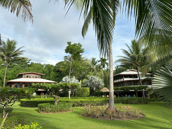 8 Day Pre-Holiday Reset and Recenter Retreat in Osa Peninsula, Costa ...