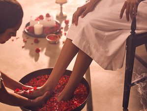 7 Day The Wellness Retreat by Kshemavana in Majadevapura, India 