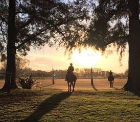 2 Days of Polo Lesson and HorseRiding Holiday in Capilla del Señor, Buenos Aires Province - Photo 5
