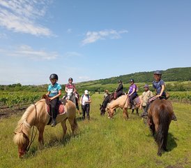 4 Tage Reiturlaub in Gyöngyössolymos, Ungarn für Anfänger bis Fortgeschrittene Reiter - Photo 3