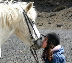07 Day Spectacular Volcanic Area Landmannalaugar and Mount Hekla Horse Riding Tour in Iceland - Photo 1