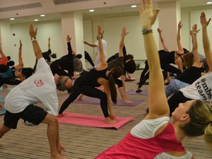 Self-Paced 200-Hour Online Hatha Yoga Teacher Training Course