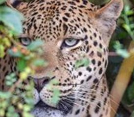 58 jours safari camping combiné Kenya et Tanzanie, Kenya et Tanzanie - Photo 1
