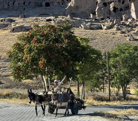 8 Tage Ilhara und Wildes Kappadokien Reiten in der Türkei - Photo 3