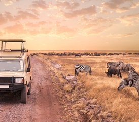 4 días de safari de lujo en el Serengeti y el cráter del Ngorongoro, Tanzania - Photo 3