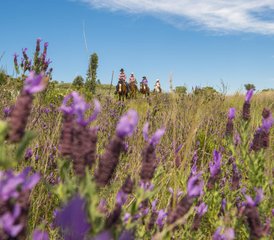 8 Tage Fortgeschrittener Reiturlaub an der Algarve, Portugal - Photo 5