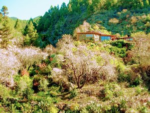8 Day Private Detox Retreat in an Idyllic Flower Oasis on La Palma, Canary Islands