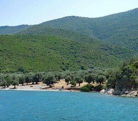 8 días en retiro de yoga, trabajo de respiración y movimiento somático en Pelión, Grecia - Photo 5