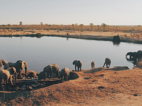 Hwange National Park