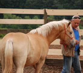 8 jours en stage d’équitation et de yoga à Castell'Azzara, Italie - Photo 4