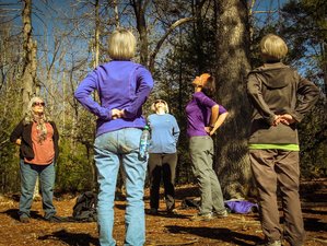 4 Day Rooted and Wild Women's Yoga Retreat near Asheville, NC, USA