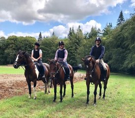 5 Day Luxury Horse Riding Holiday with Cultural and Foodie Experiences in Wicklow, Ireland - Photo 4