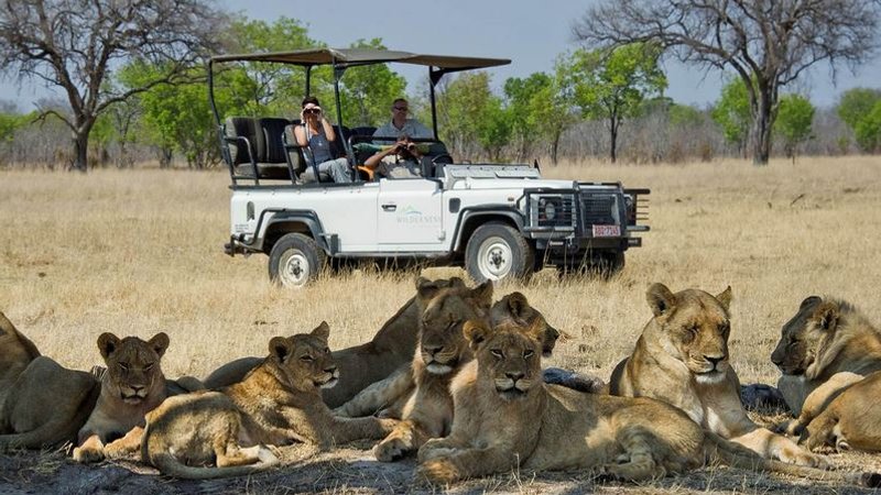 3 Days Budget Camping Safari in Hwange National Park, Zimbabwe
